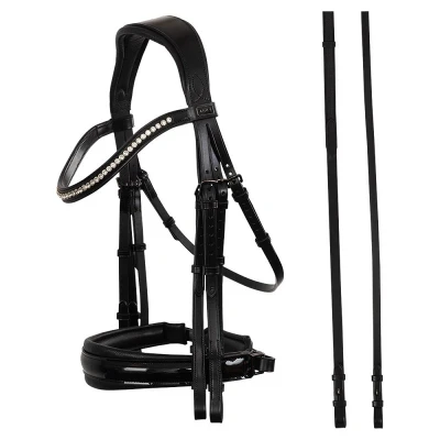 Image de ANKY Double Bridle ATH23002