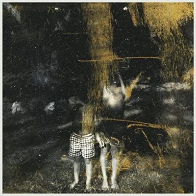 Afbeelding van Old Fire Voids (2 LPs)