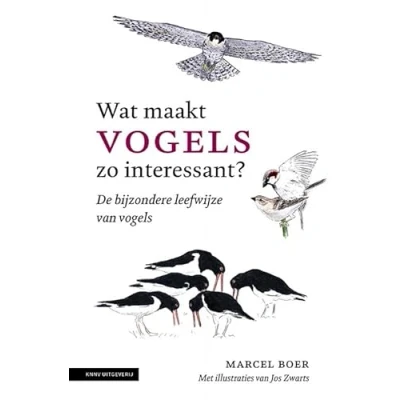 Afbeelding van Wat maakt vogels zo interessant