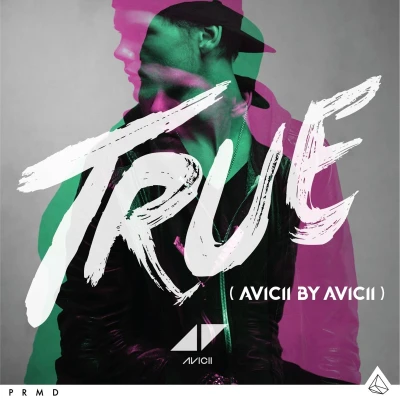 Afbeelding van Avicii True: By (2 LPs)