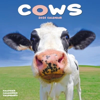 Afbeelding van Cows Kalender 2025 2026