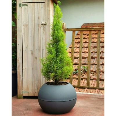 Afbeelding van Bloempot Riviera 814276 Grijs Cirkelvormig Klot Ø 40 cm