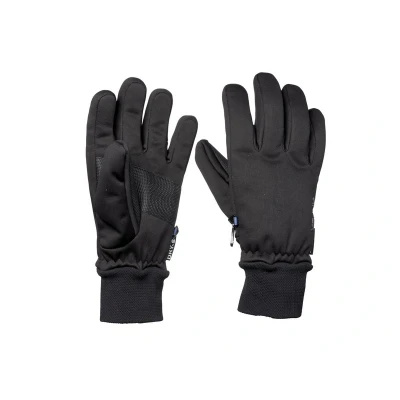 Afbeelding van Sinner Dames Ski Handschoen Canmore Zwart
