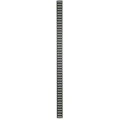 Afbeelding van DSIT 47U verticale kabelgoot 10 cm breed netwerkkabel