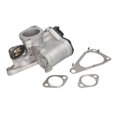Afbeelding van Delphi Diesel EGR klep EG10631 12B1