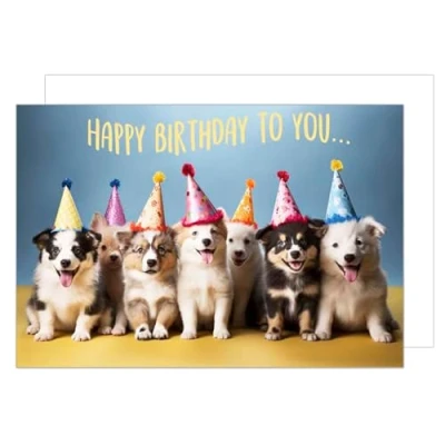 Afbeelding van Edition Seidel XXL verjaardagskaart met envelop DIN A4 Wenskaart Happy Birthday to you man vrouw hond G9995