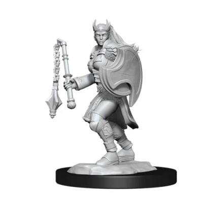 Afbeelding van Dungeons and Dragons: Nolzur&#039;s Marvelous Minatures Kalashtar Cleric Female
