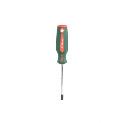 Afbeelding van HANS 0440T40X100 Schroevendraaier T40 100