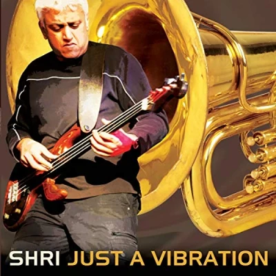 Afbeelding van Just a Vibration