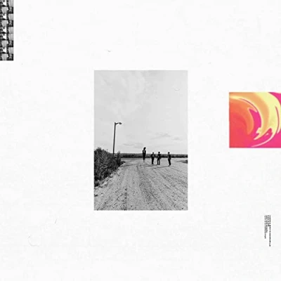 Afbeelding van Caracara New Preoccupations (LP)