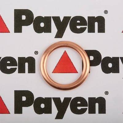 Afbeelding van PAYEN PA349 Olie Aftapplug Dichting RENAULT: 19 I Hatchback, Kangoo I, CLIO 2, PEUGEOT: Rifter MPV, 306 208 Hatchback