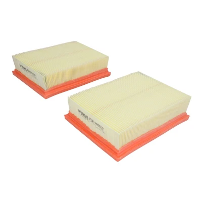 Afbeelding van Luchtfilter PURRO PUR PA0039