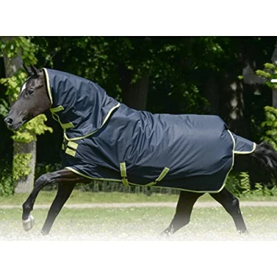 Afbeelding van Bucas Outdoor rug OASIS TURNOUT 100 + NECK