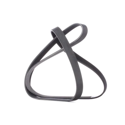 Afbeelding van Poly V riem DAYCO 6PK1520