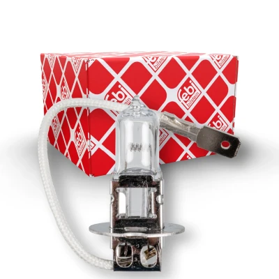 Afbeelding van FEBI BILSTEIN 173276 Gloeilamp, mistlamp