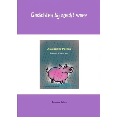 Afbeelding van Gedichten bij slecht weer