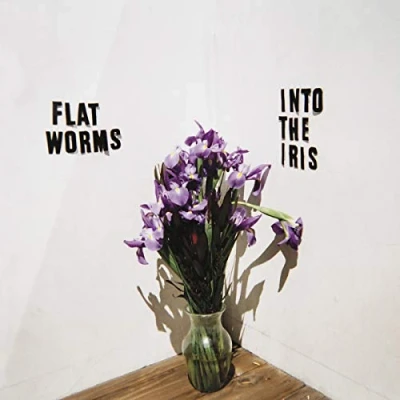 Afbeelding van Into The Iris