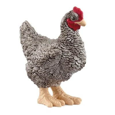 Afbeelding van Plymouth Rock Hen