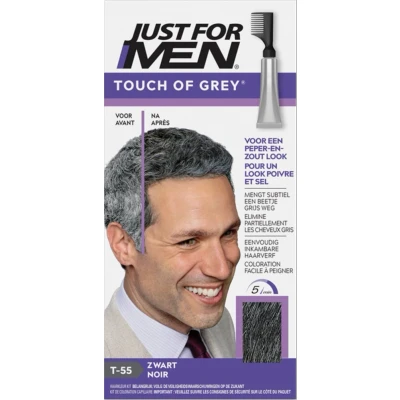 Afbeelding van Just For Men Touch of Grey H55