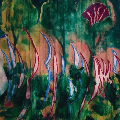 Afbeelding van Halvcirkel Vida (LP)