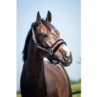 Image de HB Ruitersport Licol Leopard Fur Full