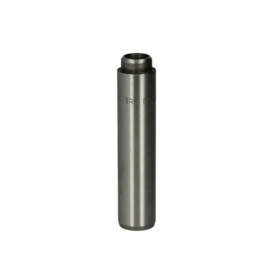 Afbeelding van Klepgeleider KOLBENSCHMIDT 81 34000