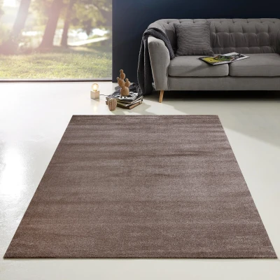 Afbeelding van Enjoy Effen Velvet Vloerkleed Bruin Laagpolig 120x170 cm