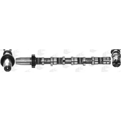 Afbeelding van AE CAM935 Nokkenas voor cilinder 4 6, Inlaatzijde AUDI: A4 B6/B7 Convertible
