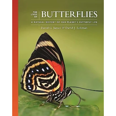 Afbeelding van The Lives of Natural World6 Butterflies