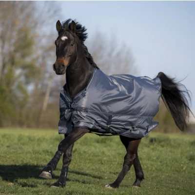 Image de Busse Outdoor rug Windchill 00