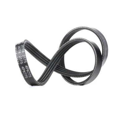 Afbeelding van Febi Bilstein Poly V riem 28774