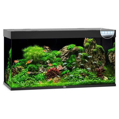 Afbeelding van Juwel Aquarium Rio 350 Led 121x51x66 cm Aquaria Zwart Ca. L