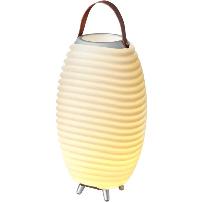 Afbeelding van Synergy 50 Lamp En Speaker