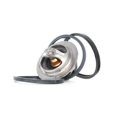 Afbeelding van Gates Thermostaat TH13783G1