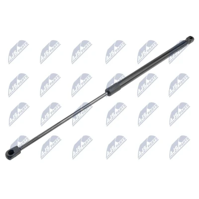 Afbeelding van NTY AE CH 009 Gasveer Motorkap rechts, Links