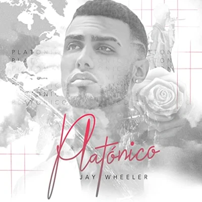 Afbeelding van Platónico