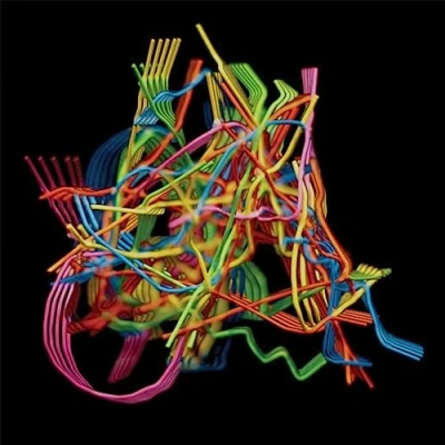 Afbeelding van Perpetual Morphosis