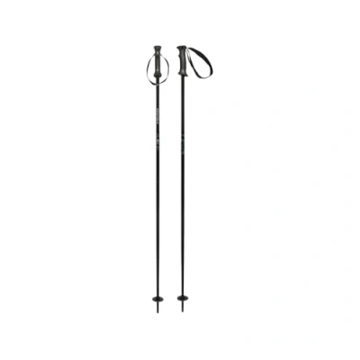 Afbeelding van Head Joy Skistokken Dames Black 120 Cm Zwart