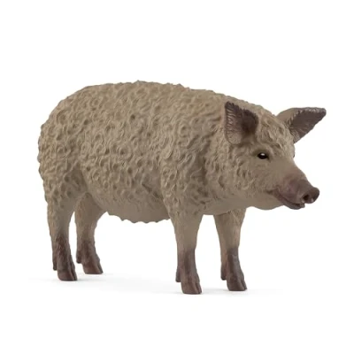 Afbeelding van Wolvarken