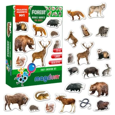 Afbeelding van Koelkastmagneet voor kinderen, magneet, bosdieren, magnetisch, FOTO 20 kindermagneten koelkast, speelgoed kinderen van 3 jaar educatief spel whiteboard