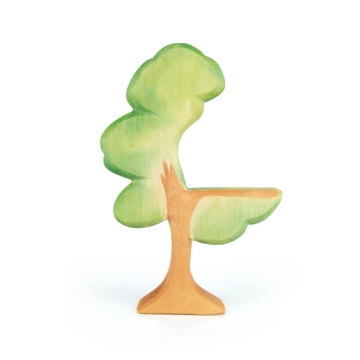 Afbeelding van Ostheimer Eucalyptus
