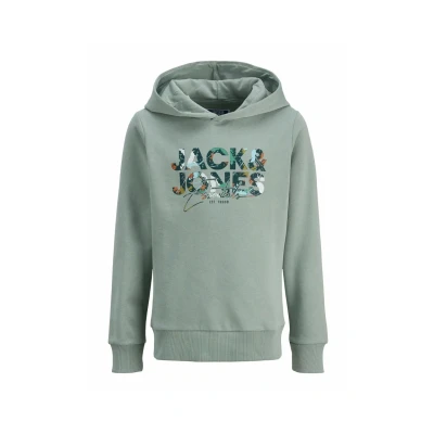 Afbeelding van Jack &amp; Jones Plas Sweat Hoodie Junior Maat 164