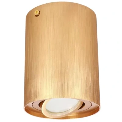 Afbeelding van EDO SKAND 1 Gold GU10 enkele opbouwspot plafondlamp, rond, goud, plafondverlichting, 230 V, binnenverlichting, aluminium, opbouwlamp downlight EDO777225