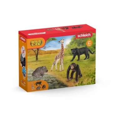 Image de SCHLEICH Kit de base Wild Life 72162 Gamme