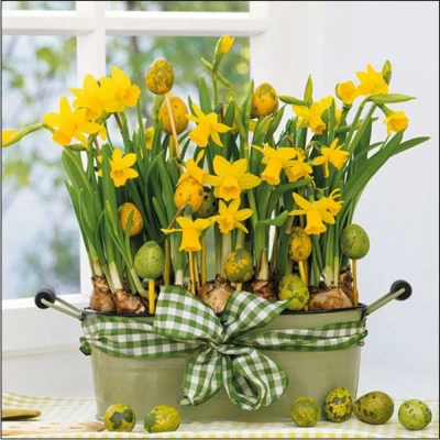 Afbeelding van Daffodils