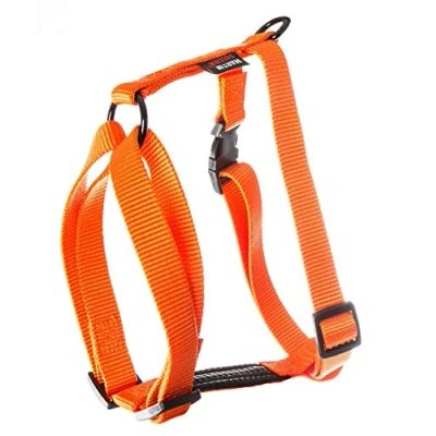 Afbeelding van Tuig voor hond nylon uni oranje 25 mmx70 90 cm