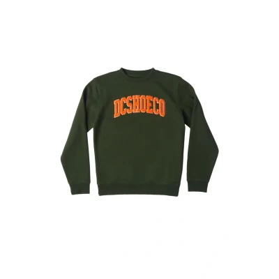 Afbeelding van DC Shoes Sweater voor kinderen, Maat: 176, Gzh0 mountain view