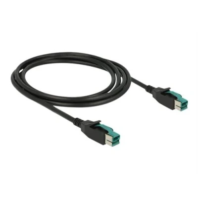 Image de Delock Câble d&#039;alimentation USB PlusPower (12 V) (M) pour 12 V 2 m noir