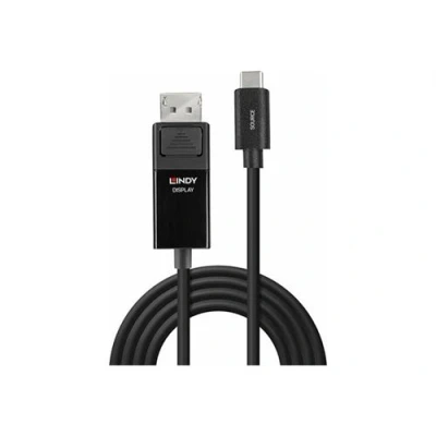 Image de Lindy Câble adaptateur USB C (M) pour DisplayPort (F) 1.2 3 m rond support 4K60Hz (3840 x 2160) noir