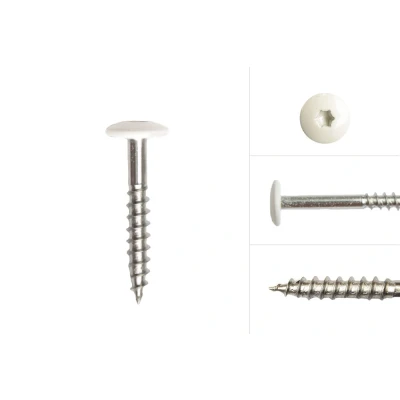 Afbeelding van Wovar Kleurkopschroeven Wit rvs 4.8 x 32 mm Doos 100 Stuks